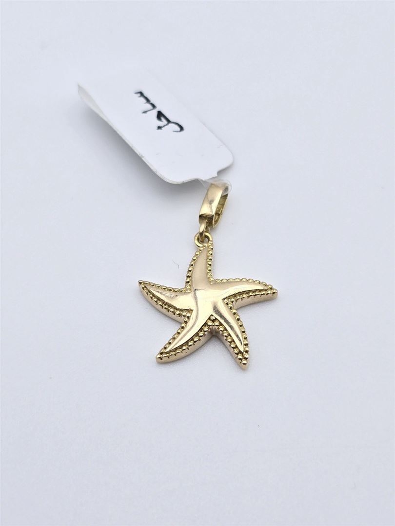 مدال صدف ساحل