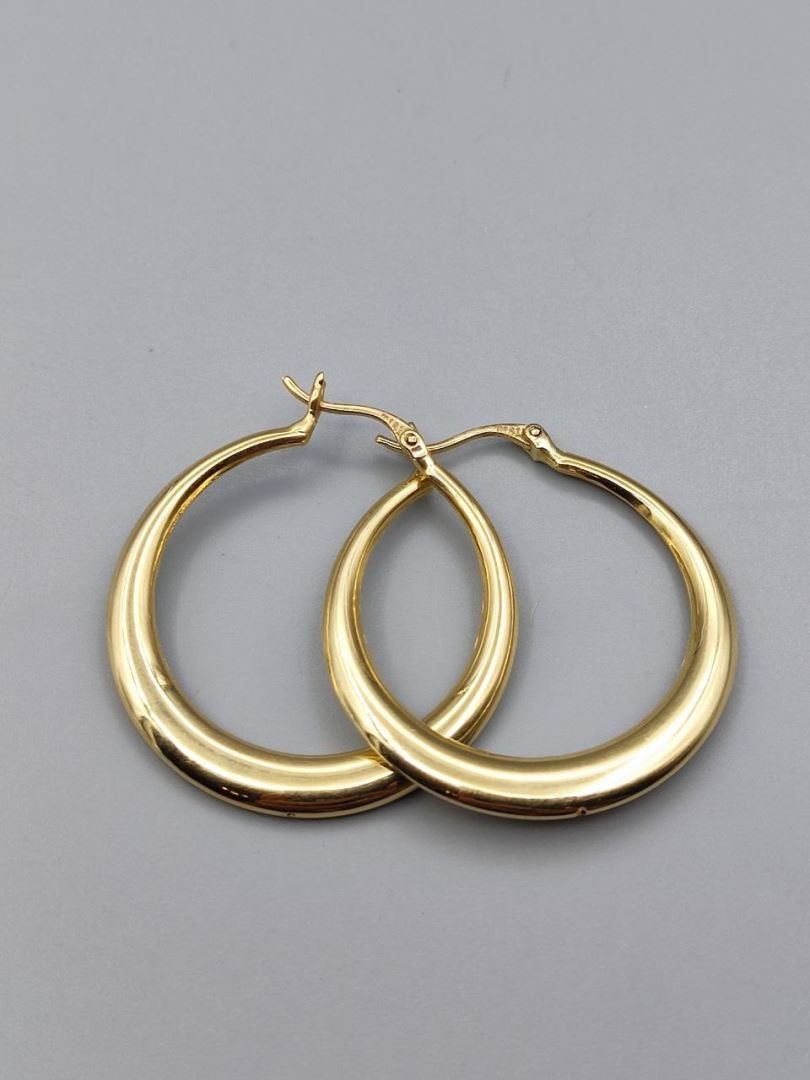 گوشواره اکوا