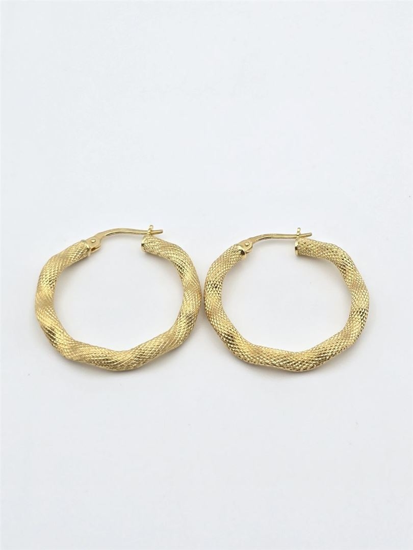 گوشواره نینا