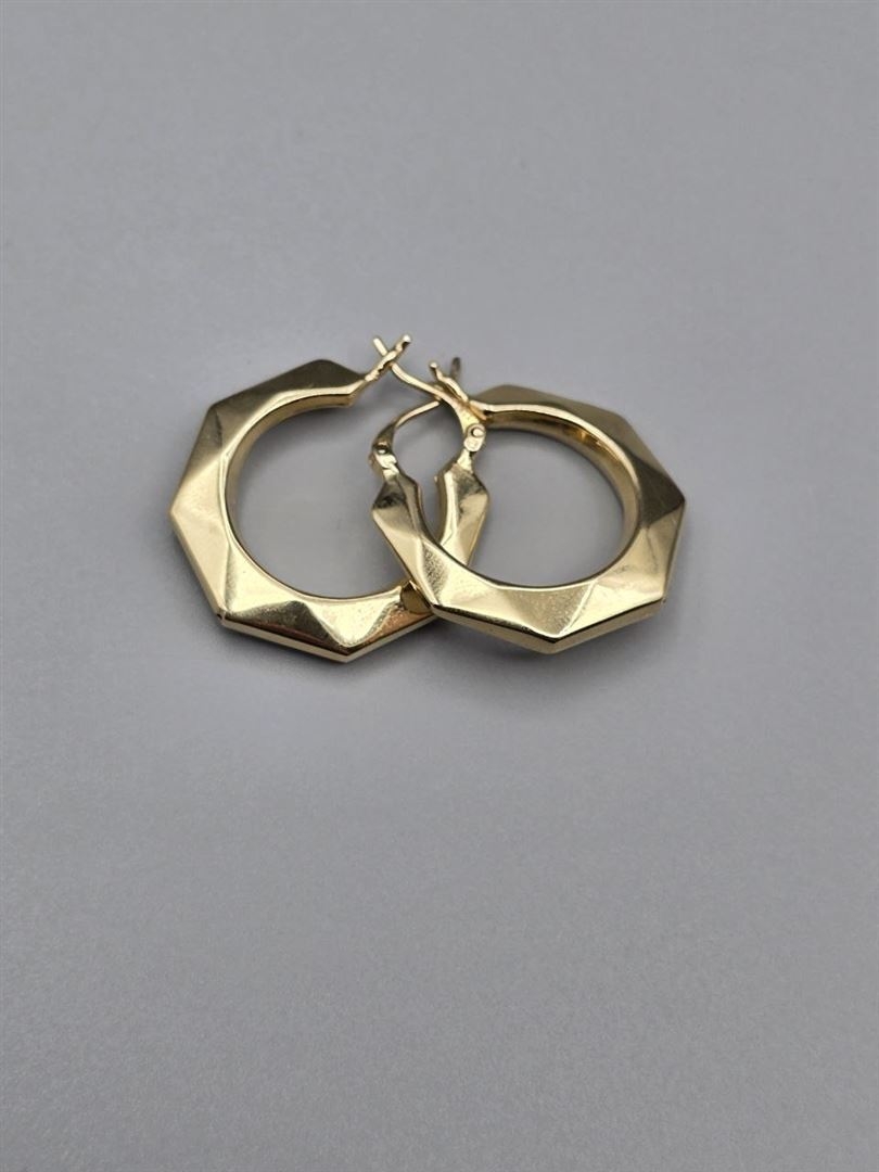 گوشواره الکتروفورم