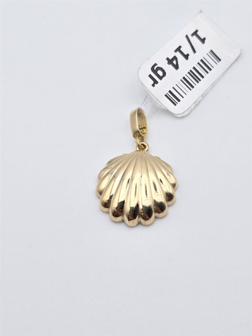 مدال صدف ساحل