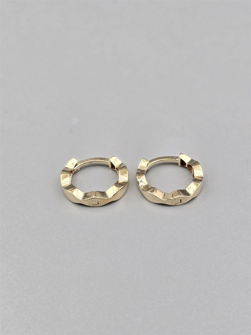 گوشواره ساناز