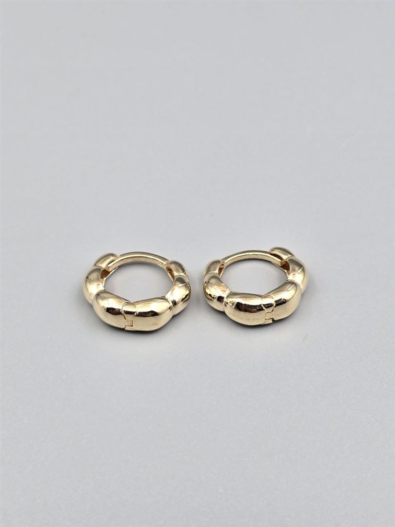 گوشواره ساناز