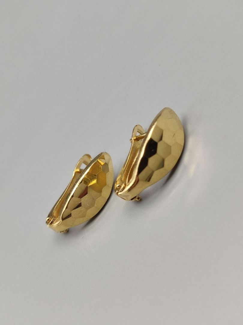 گوشواره فانتزی