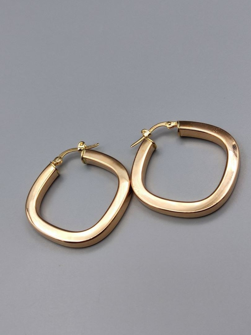 گوشواره الکتروفورم