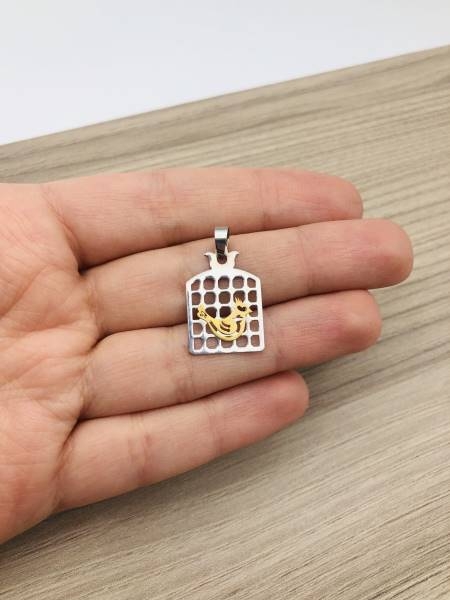 پلاک مرغ آمین