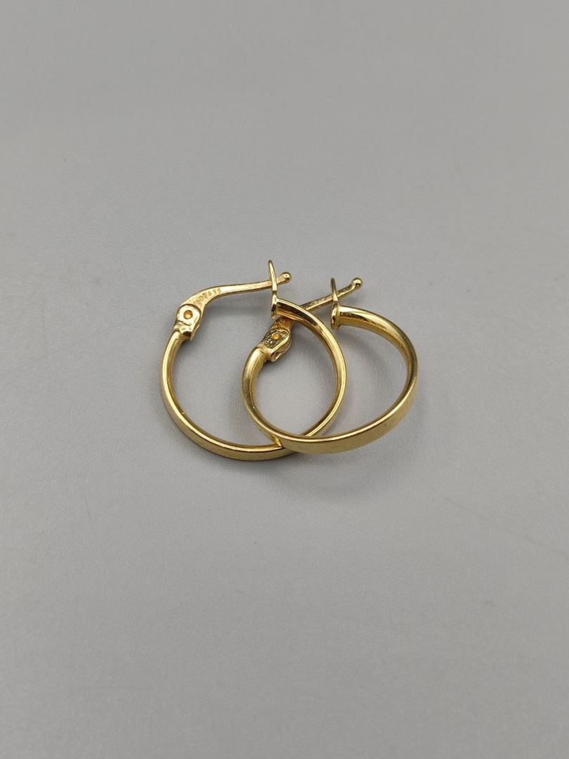 گوشواره حلقه ای