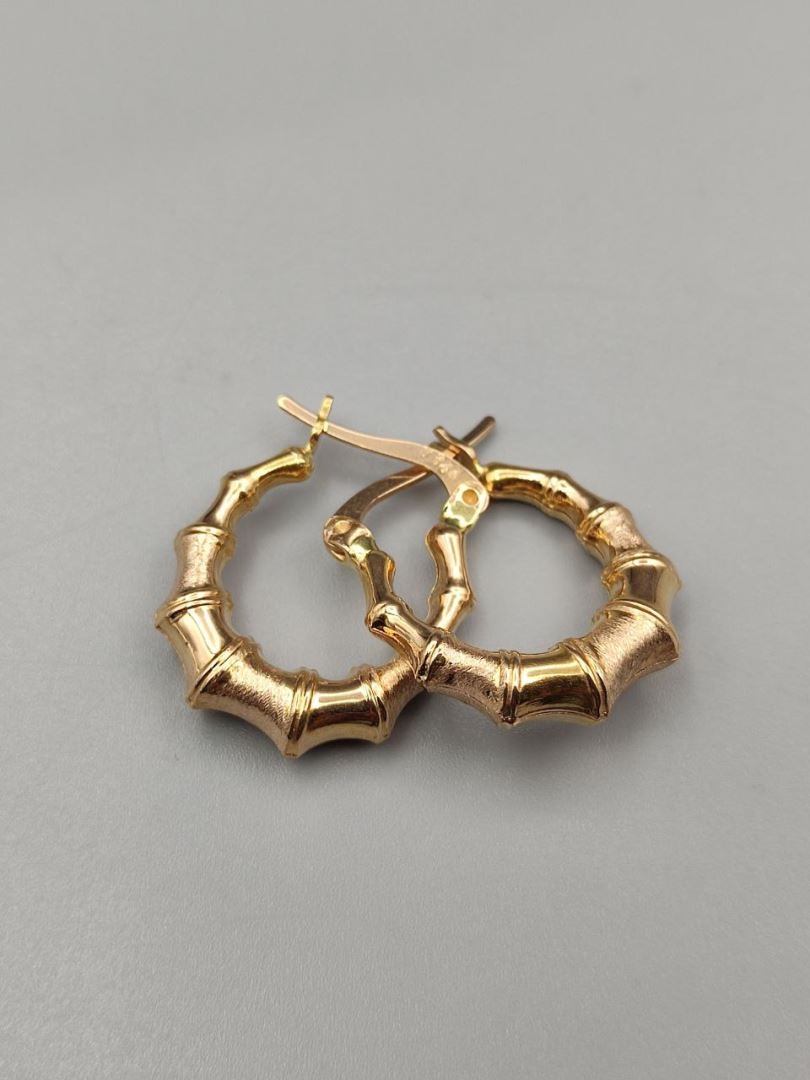 گوشواره الکتروفورم