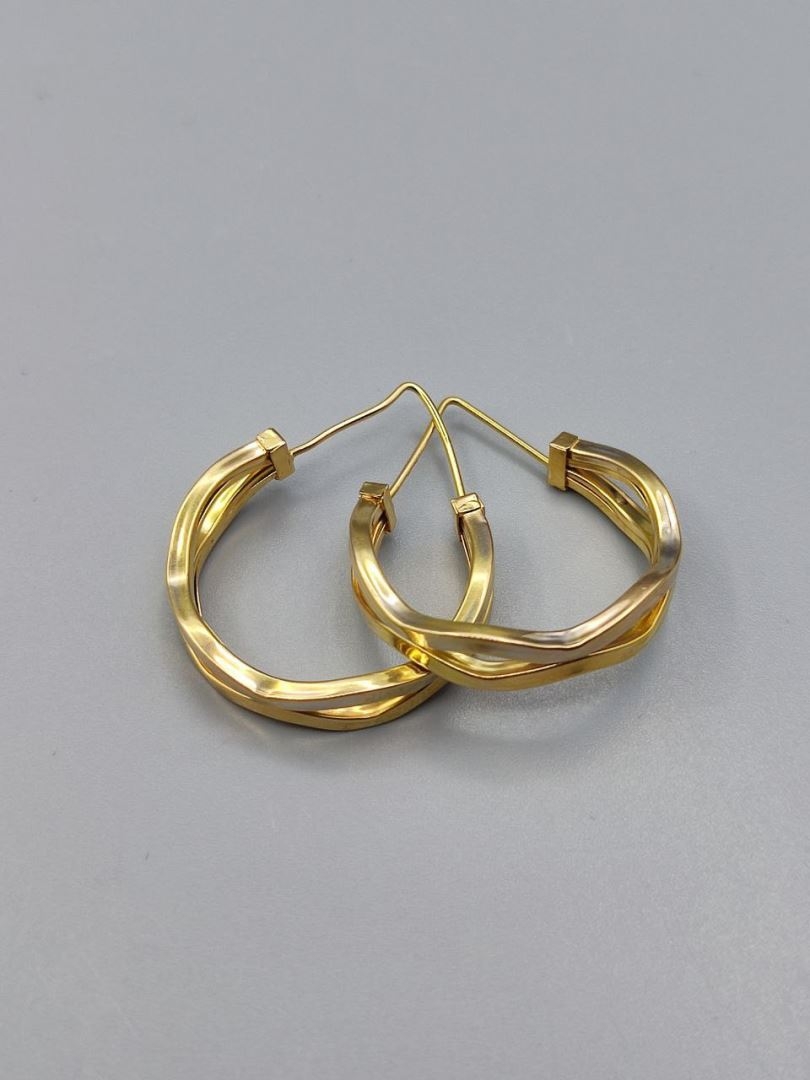 گوشواره فانتزی