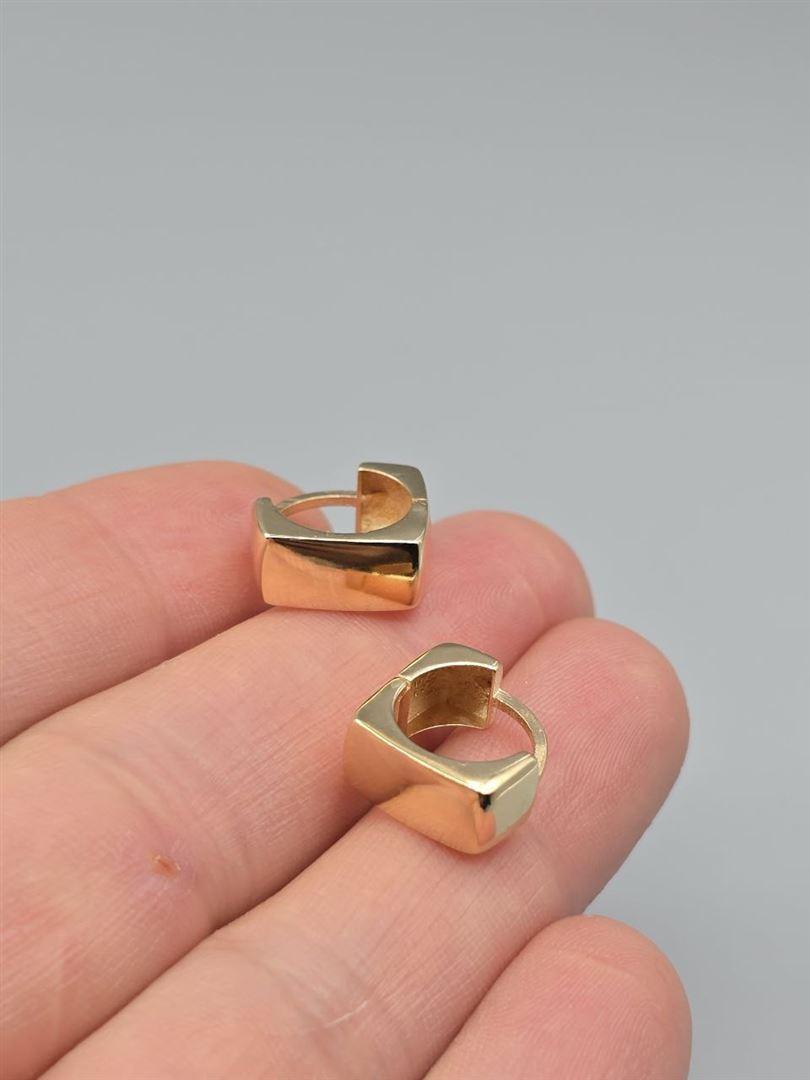 گوشواره ساناز