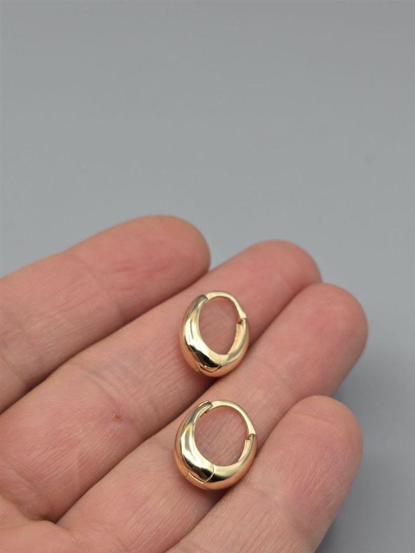 گوشواره ساناز
