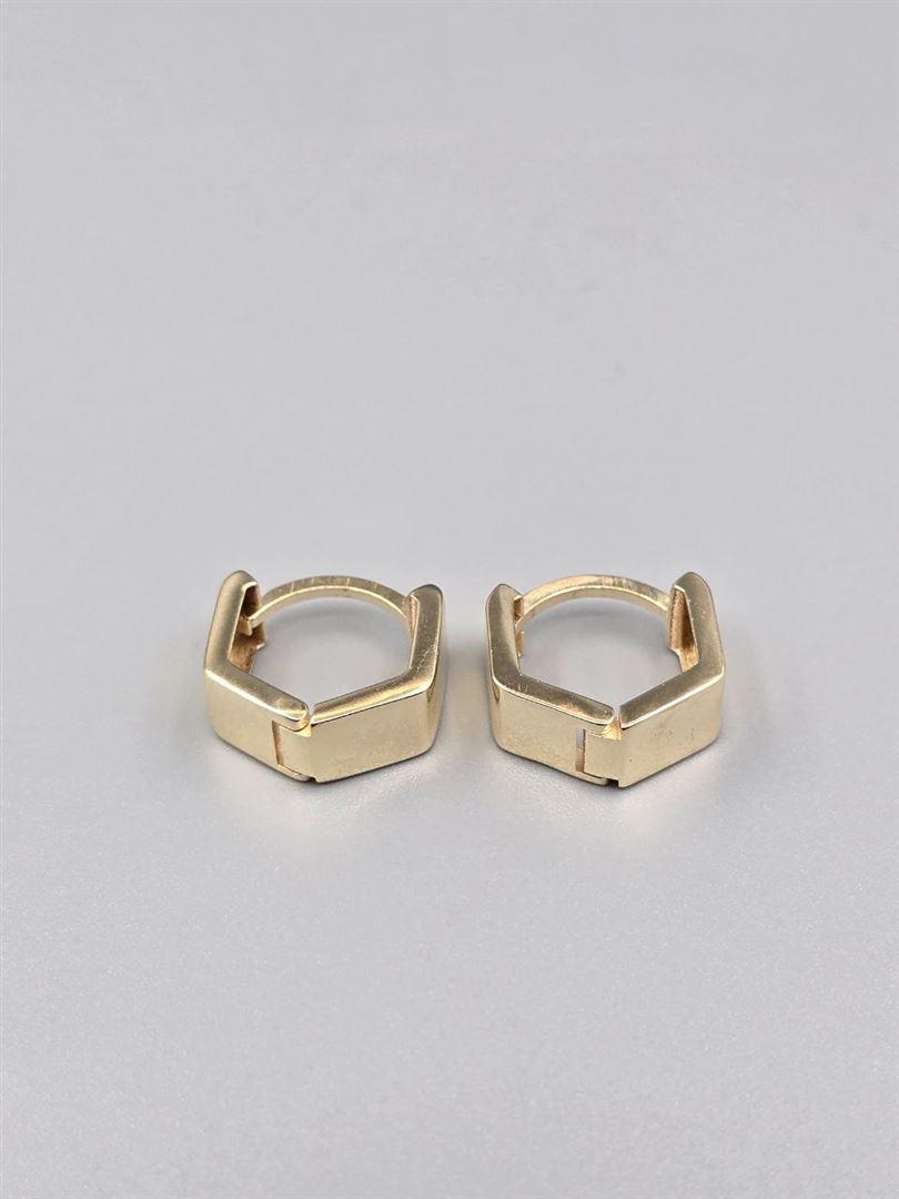 گوشواره ساناز