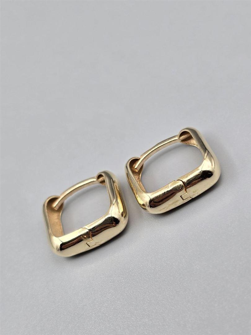 گوشواره ساناز