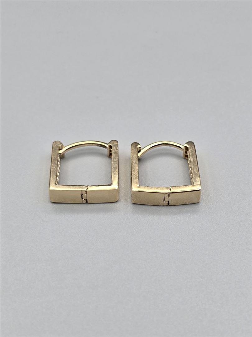 گوشواره ساناز
