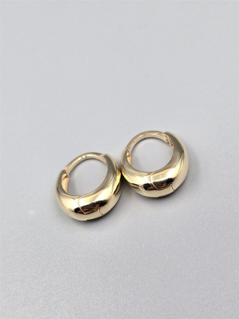 گوشواره ساناز