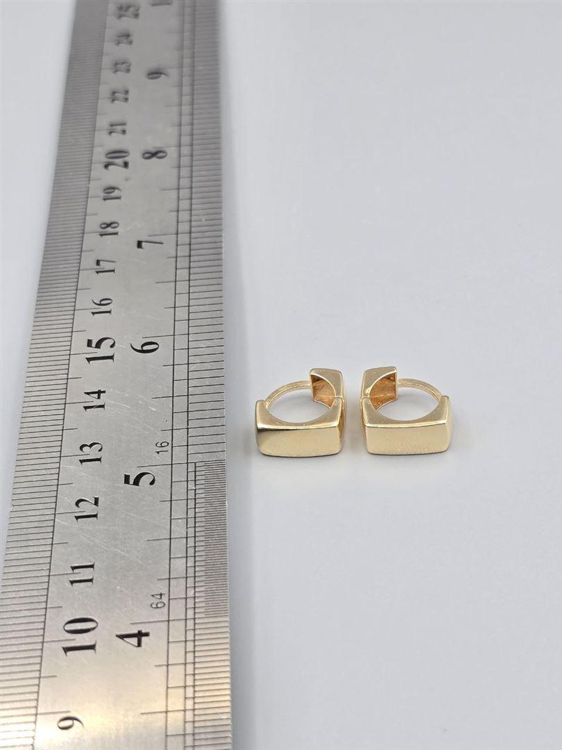 گوشواره ساناز