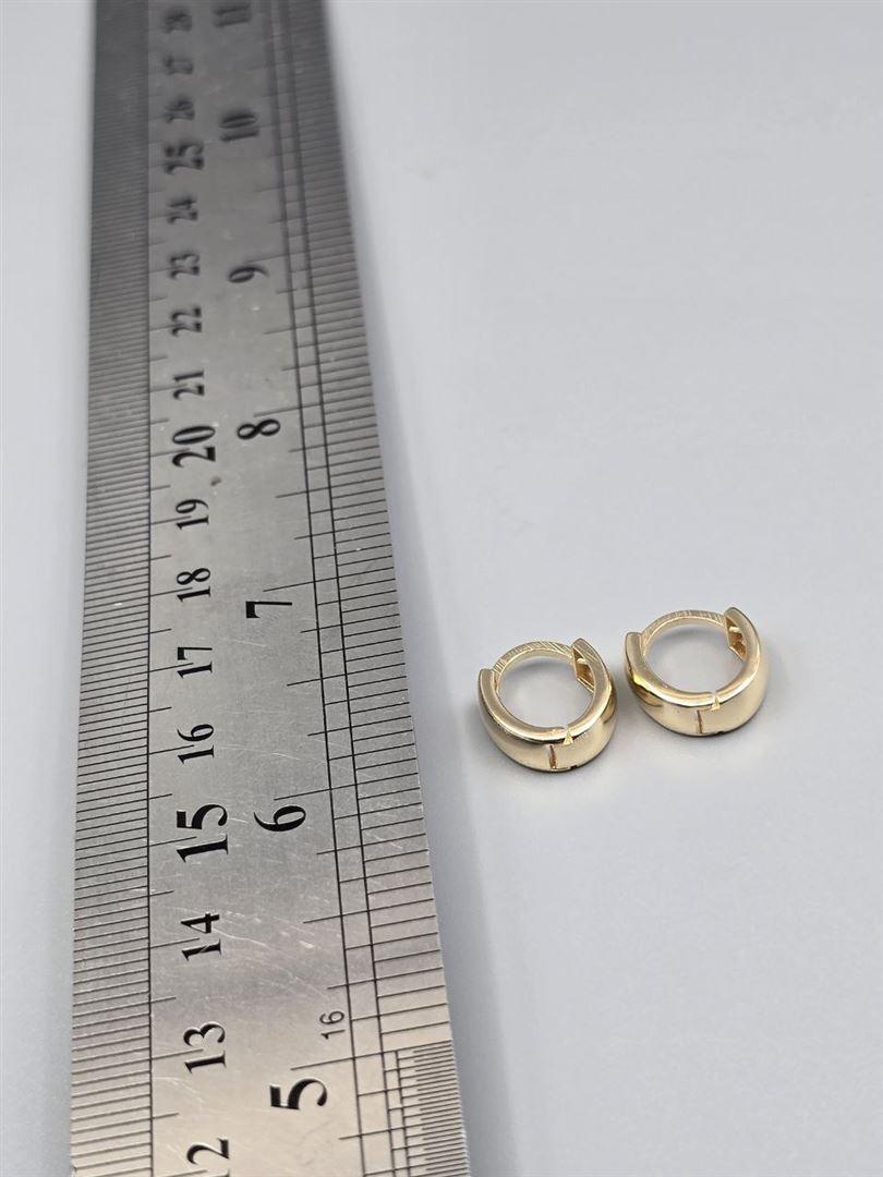 گوشواره ساناز