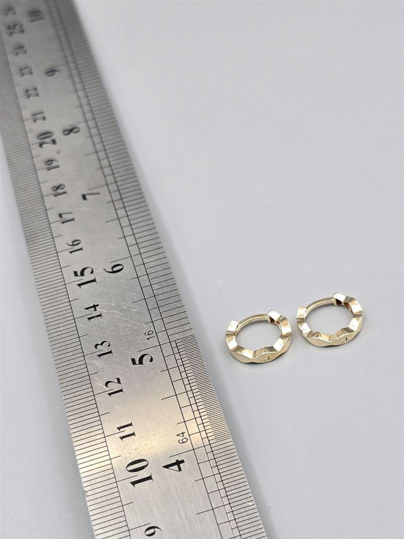 گوشواره ساناز