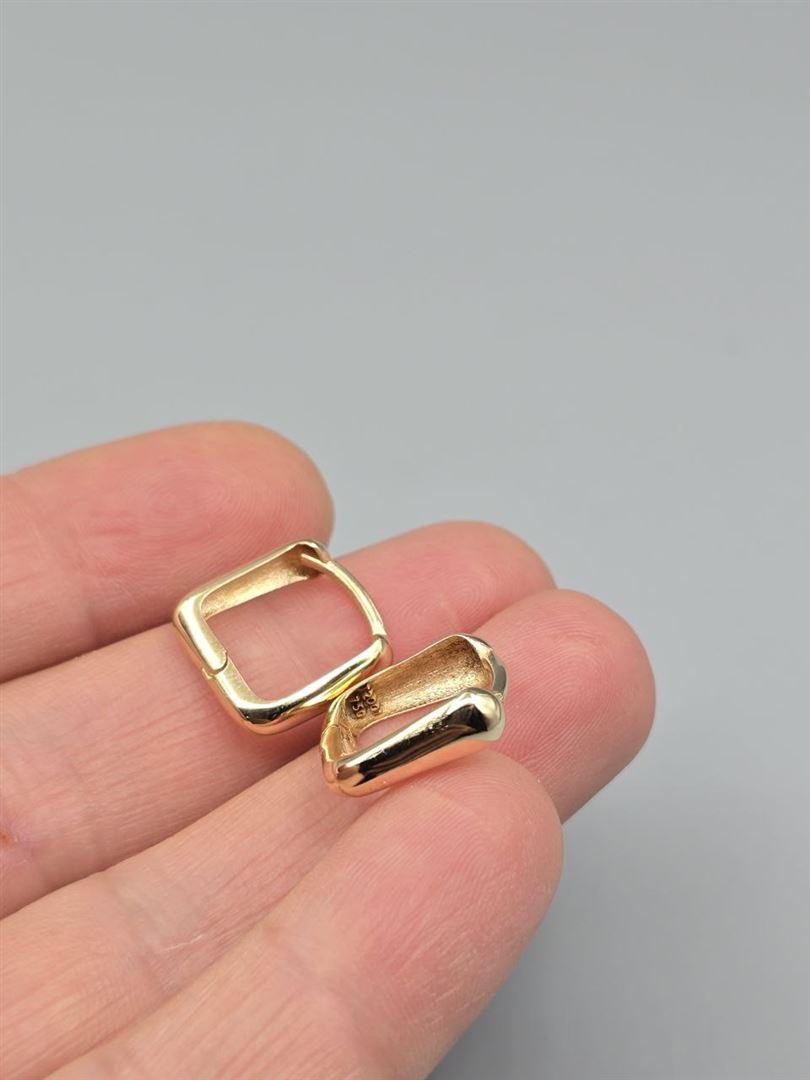 گوشواره ساناز