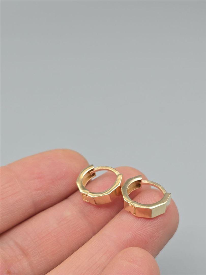 گوشواره ساناز