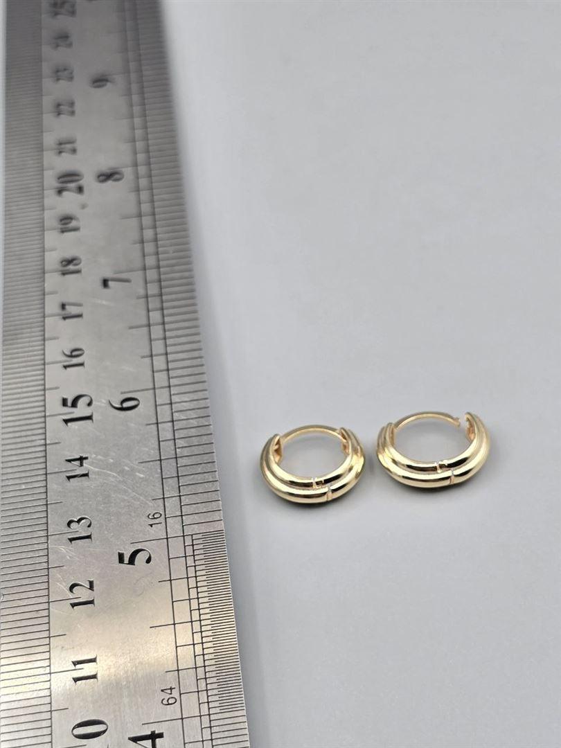 گوشواره ساناز