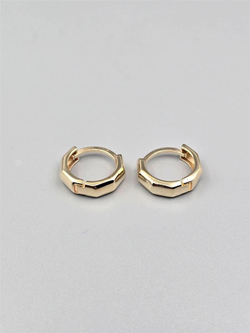 گوشواره ساناز