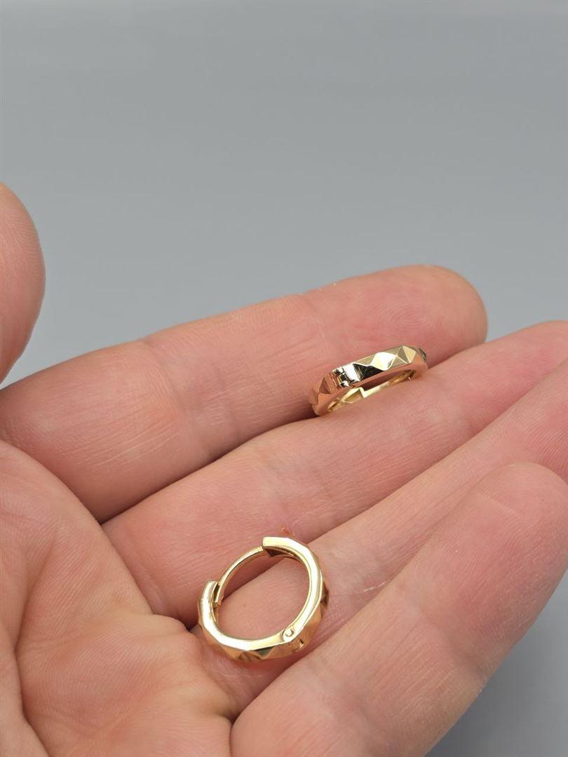 گوشواره ساناز