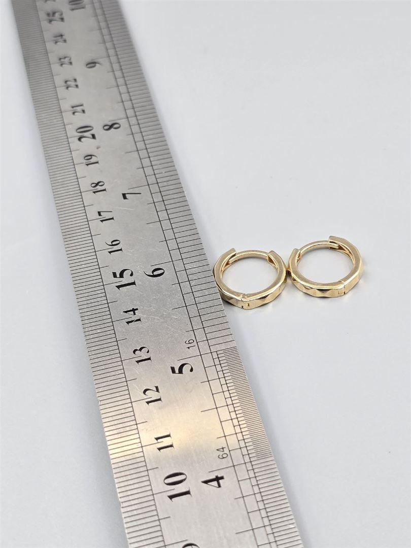 گوشواره ساناز