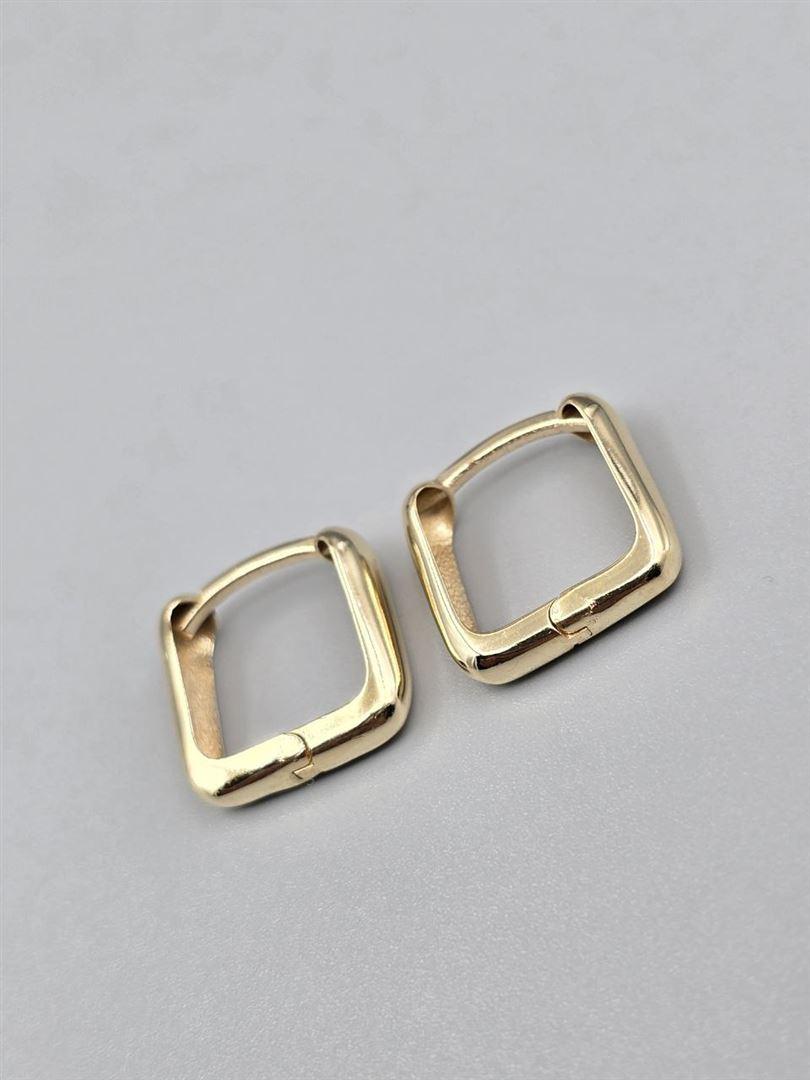 گوشواره ساناز