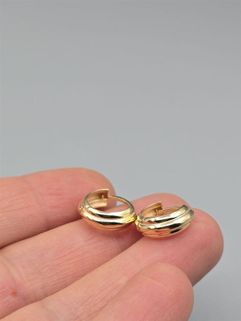 گوشواره ساناز