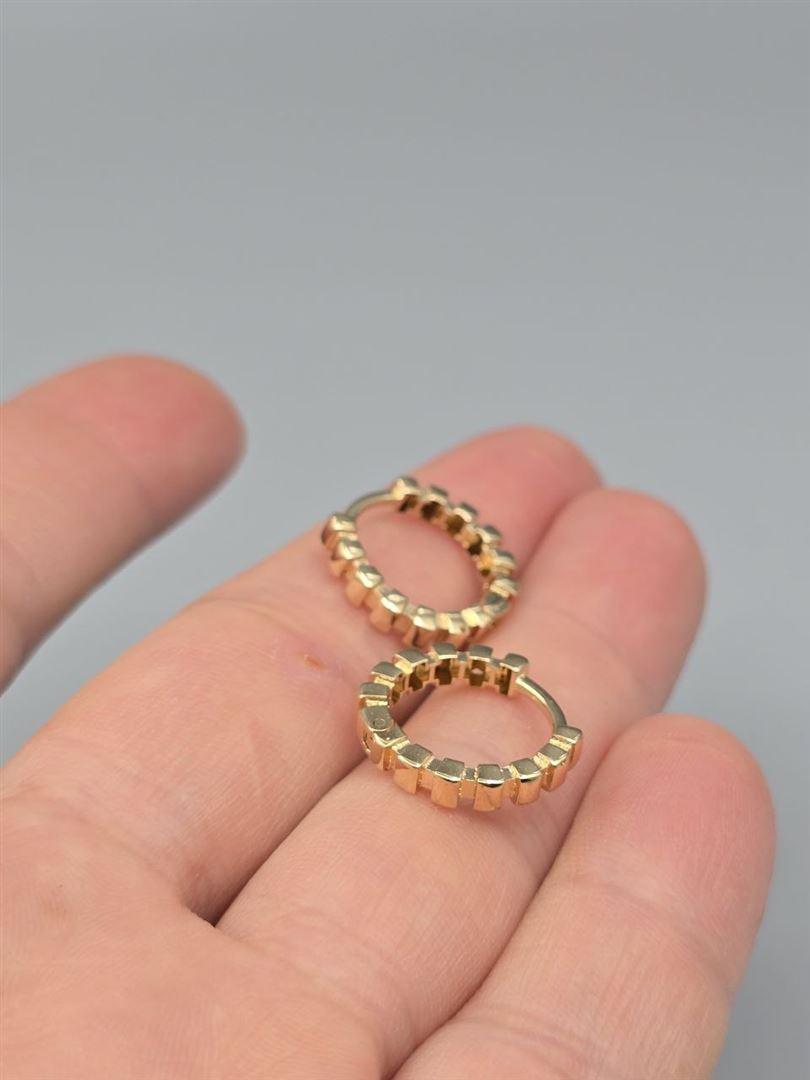 گوشواره ساناز