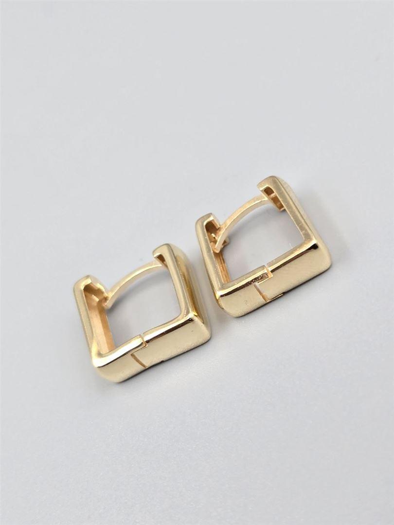 گوشواره ساناز
