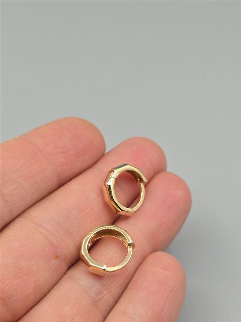 گوشواره ساناز