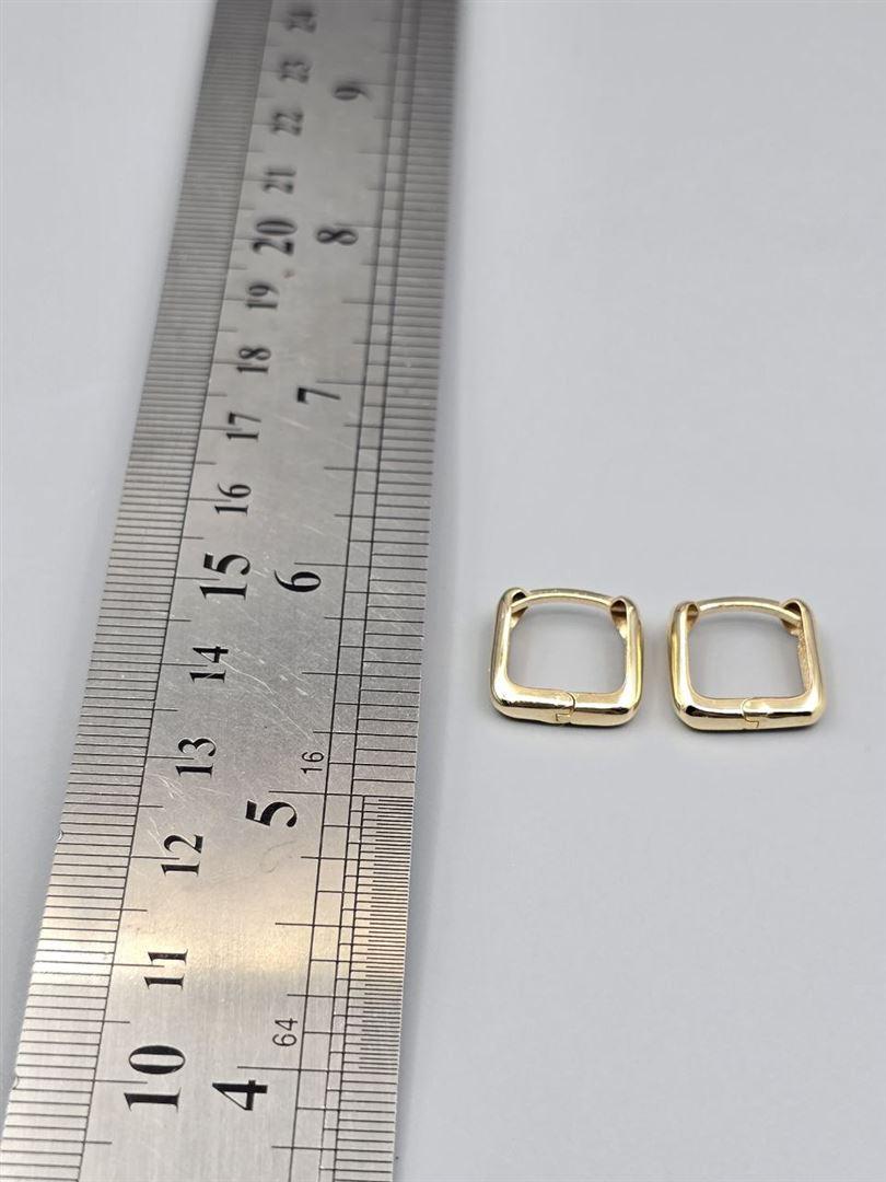 گوشواره ساناز