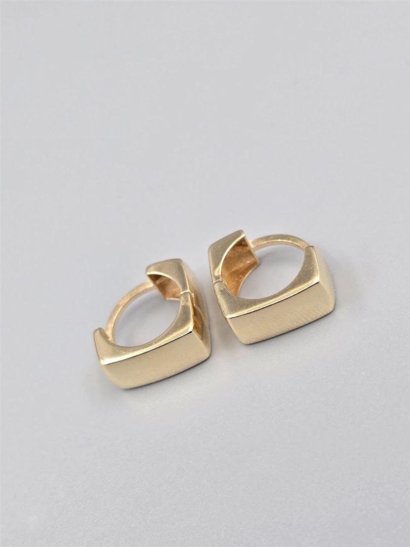 گوشواره ساناز