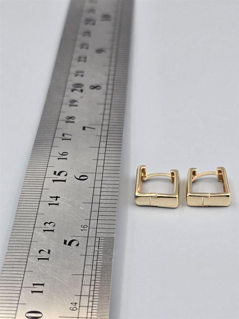 گوشواره ساناز
