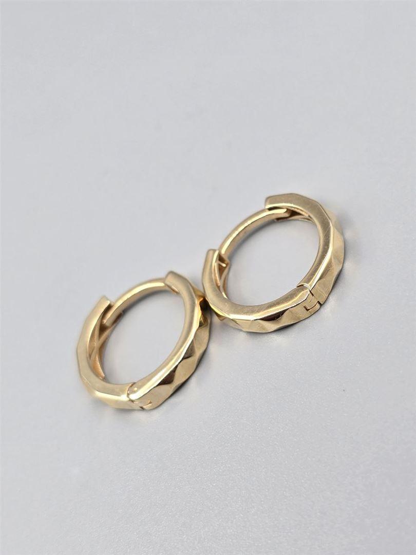 گوشواره ساناز