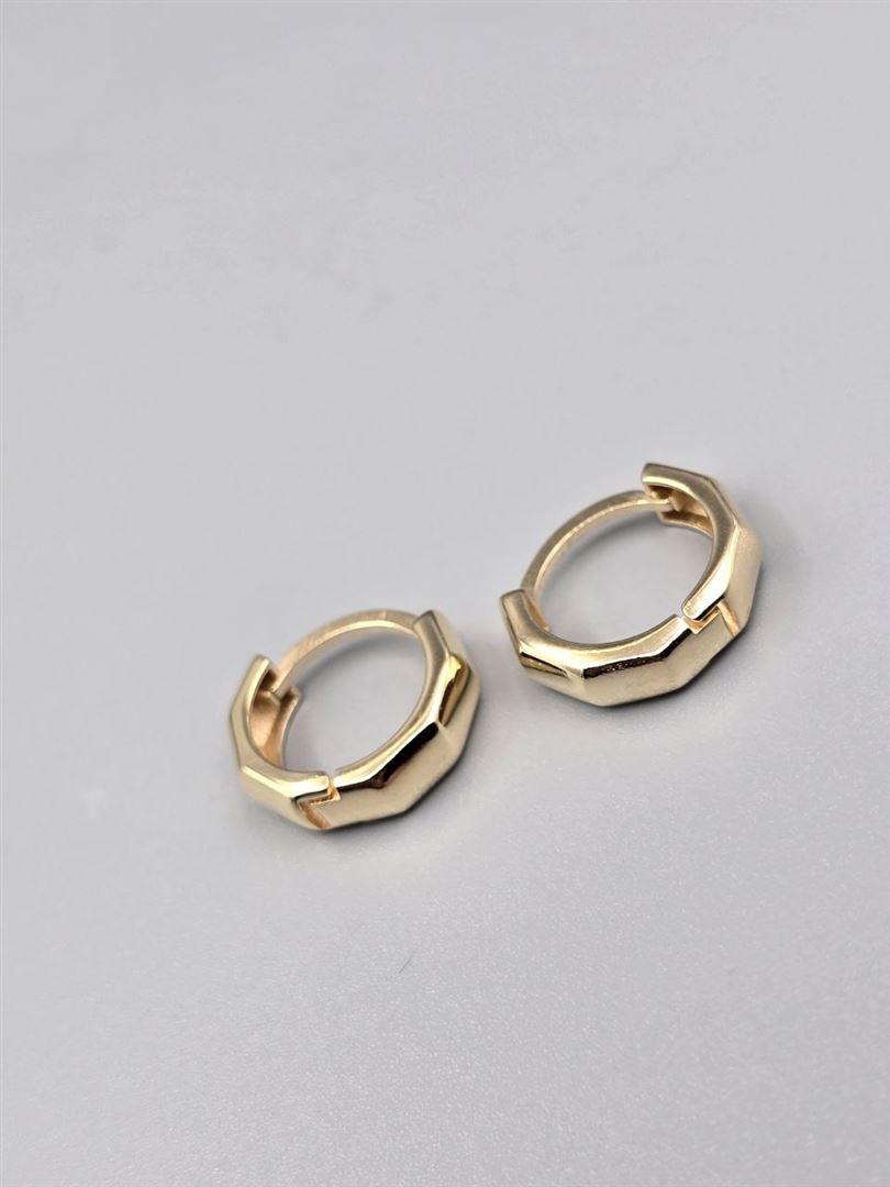 گوشواره ساناز