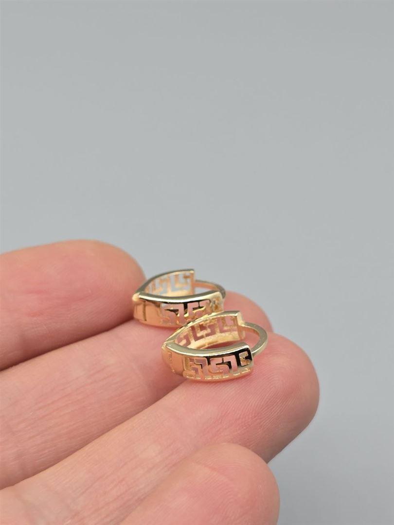 گوشواره ساناز