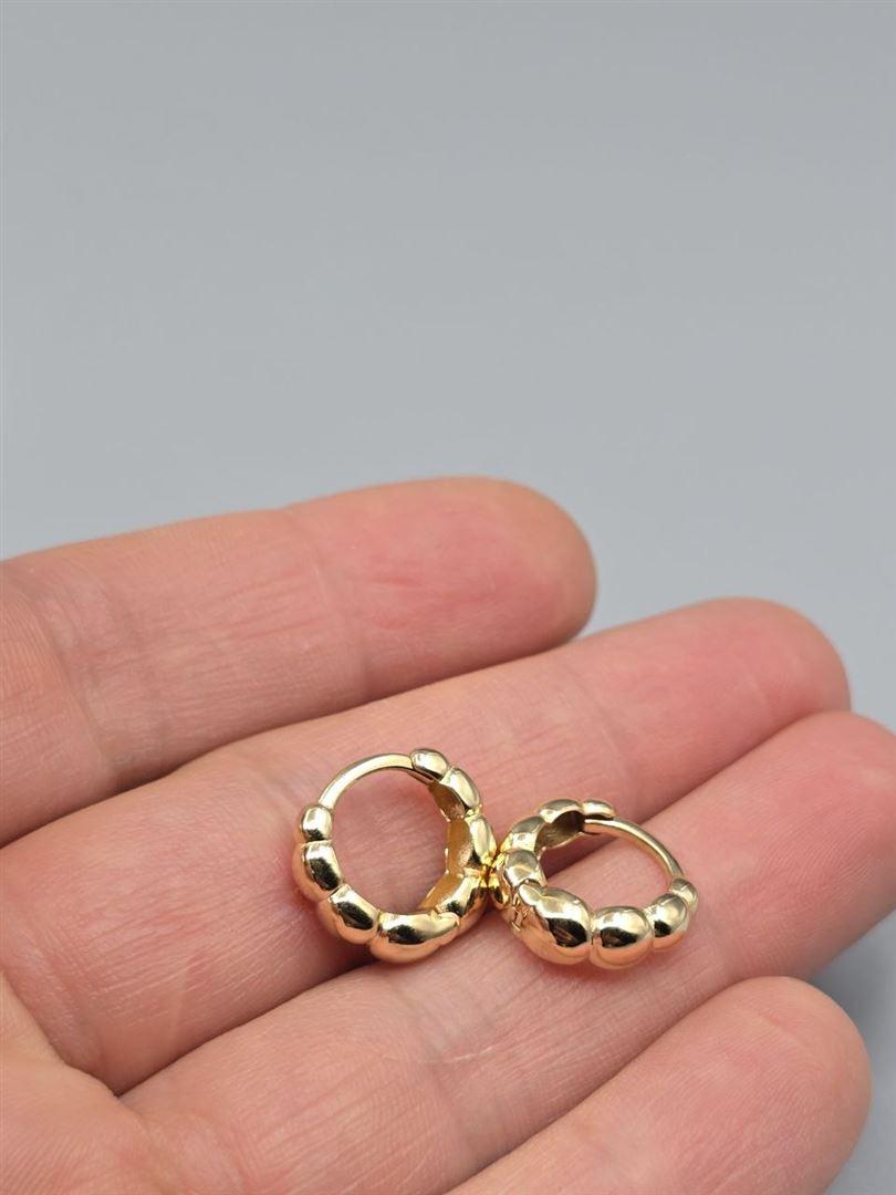 گوشواره ساناز