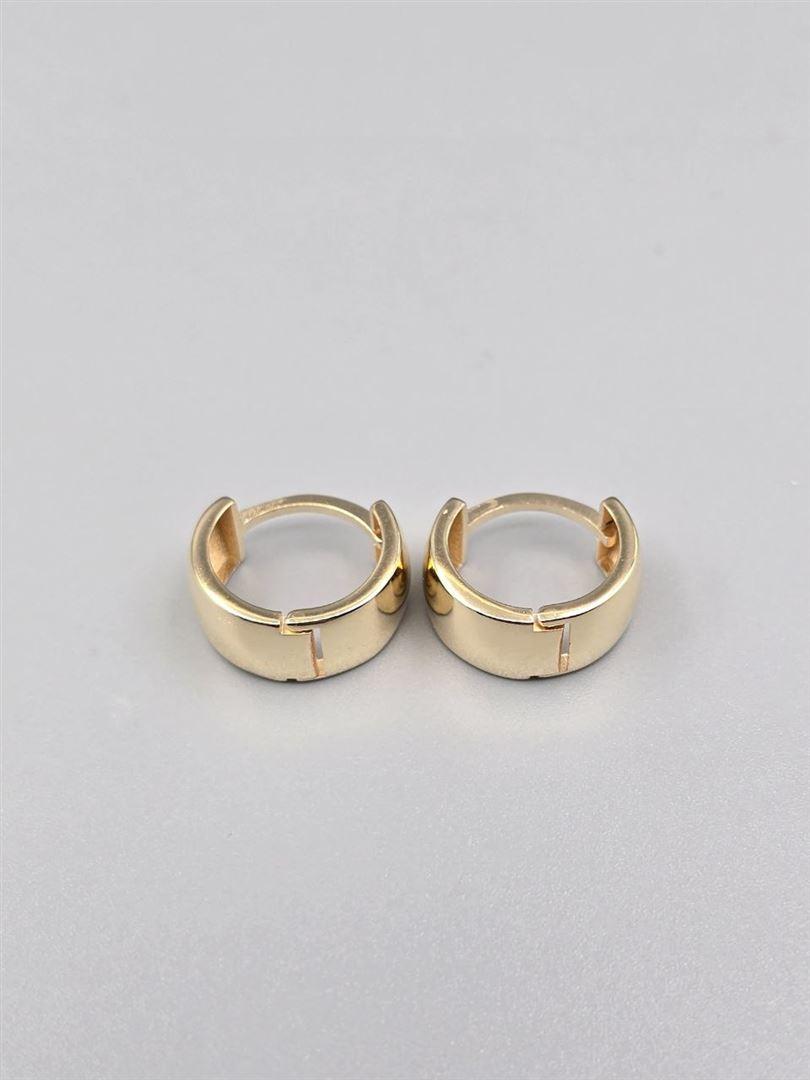 گوشواره ساناز