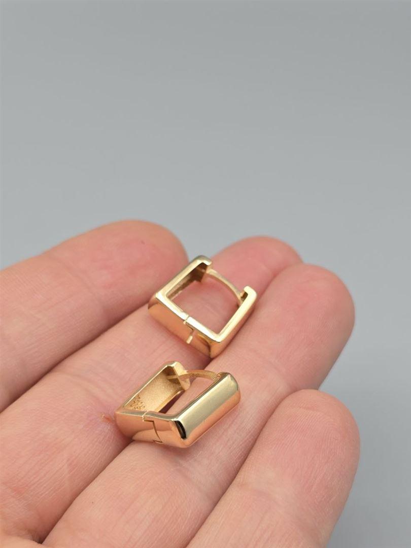 گوشواره ساناز