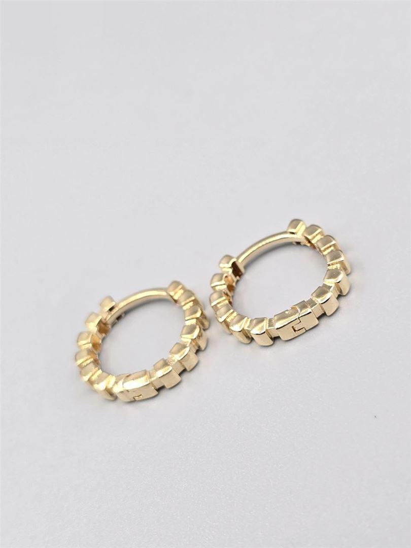 گوشواره ساناز
