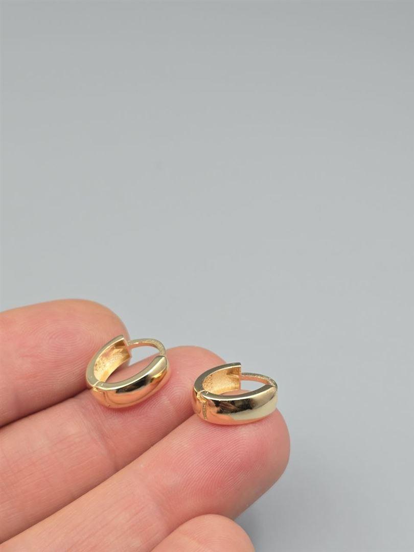 گوشواره ساناز