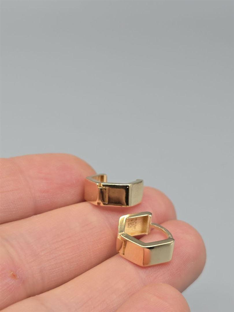 گوشواره ساناز
