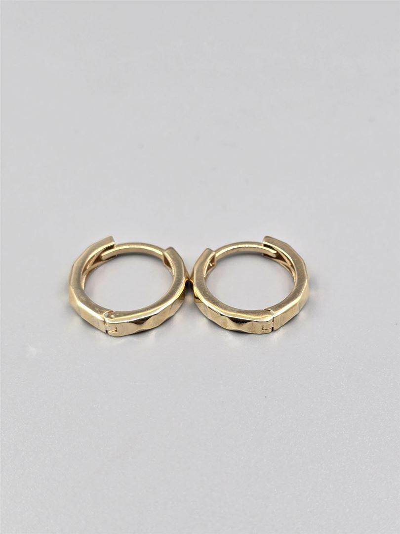 گوشواره ساناز