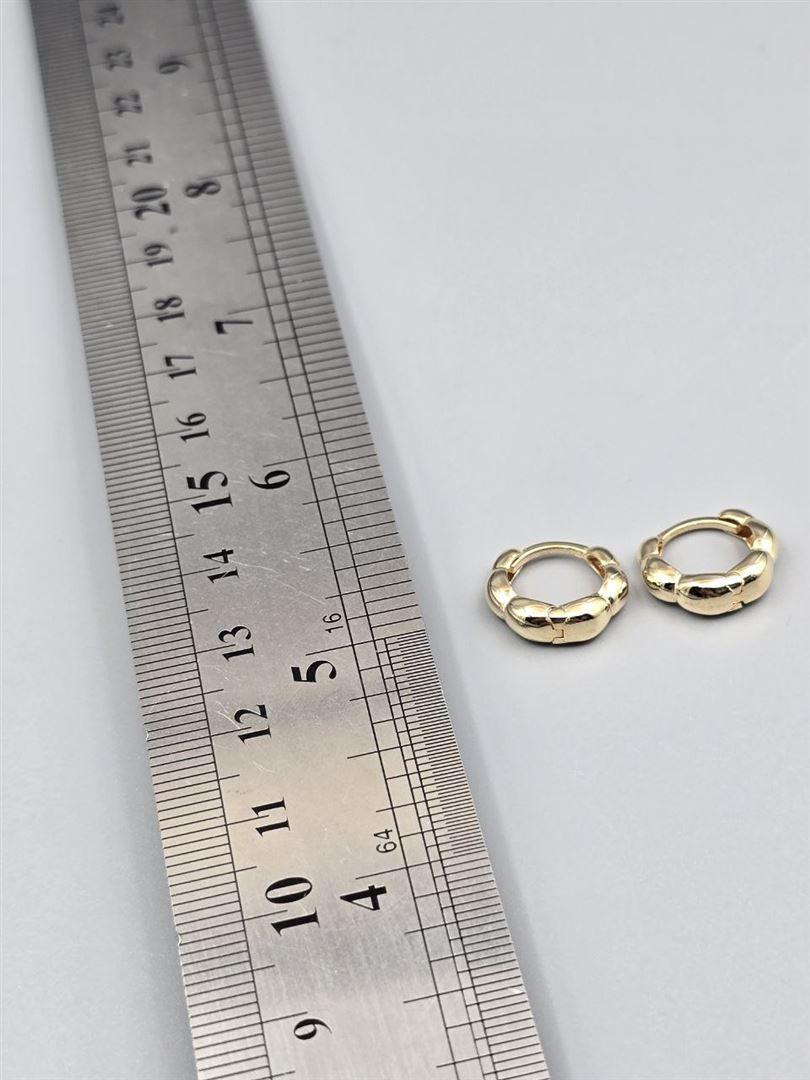 گوشواره ساناز