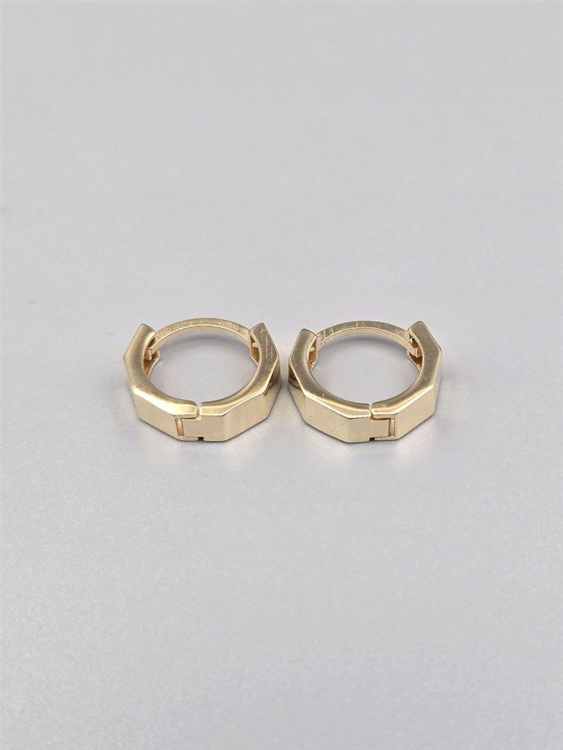 گوشواره ساناز