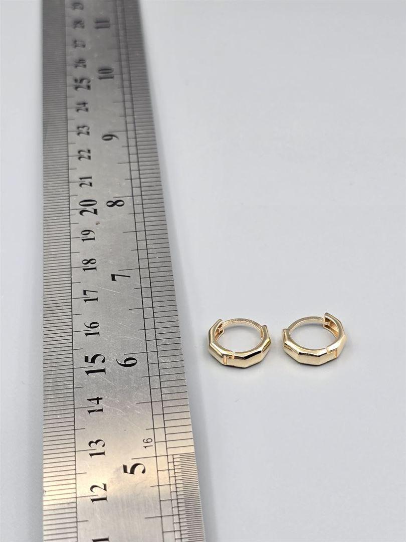 گوشواره ساناز