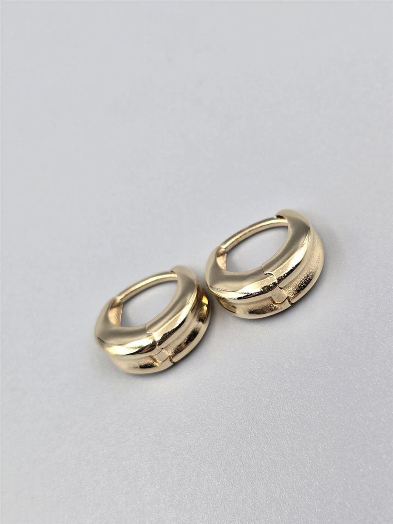 گوشواره ساناز